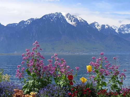 Bord du lac de Genève