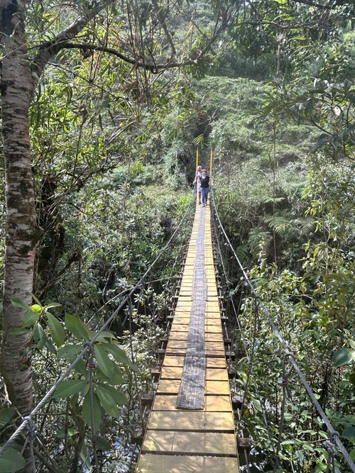 pont suspendu Costa Rica-Vallée Centrale
