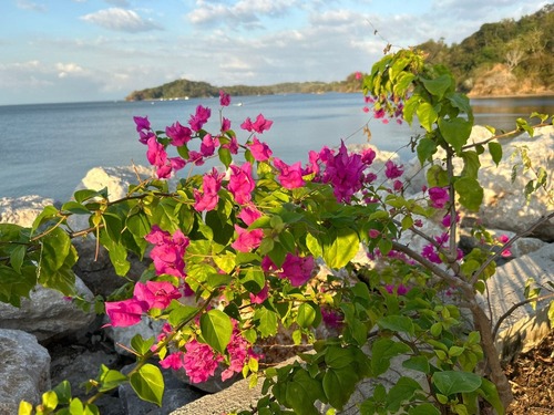Côte du Guanacaste