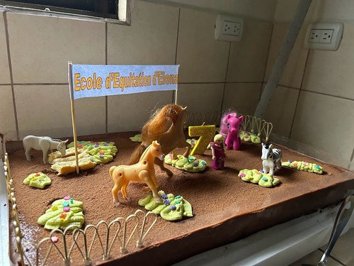 gâteau anniversaire enfant Costa Rica
