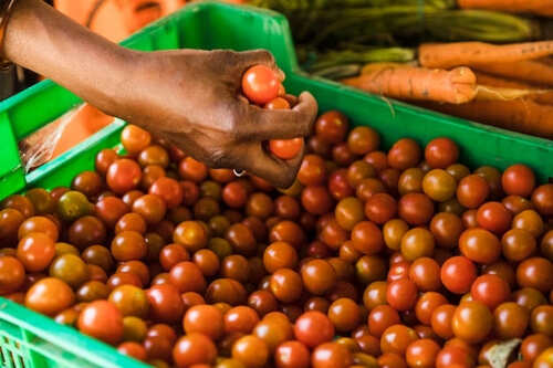 tomates cerises marché Costa Rica